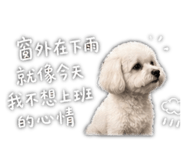 844428626