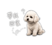 844428627