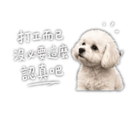 844428632