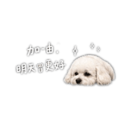 844428637