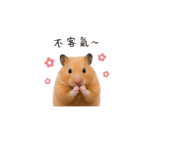 844428741
