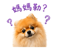 844429569