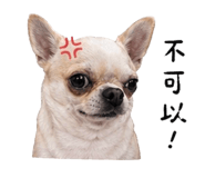 844430265