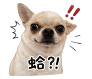 844430275