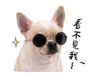844430280