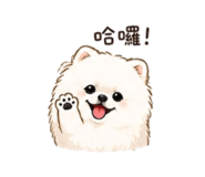 844430329
