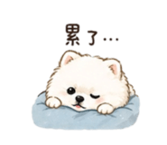 844430337