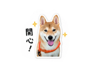 844430409