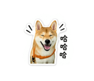844430410