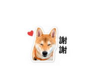 844430416