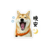 844430417