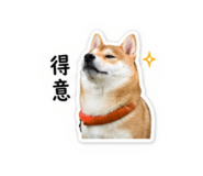 844430421