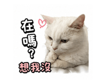 844430959