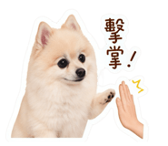 844431100