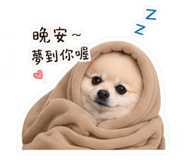 844431118