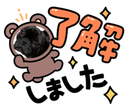 844431238