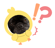 844431268