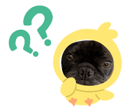 844431269