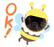 844431270