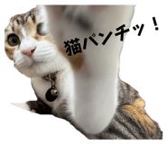 844431482