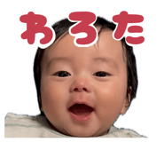 844431846