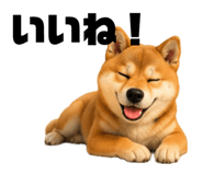 844432121