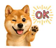 844432122