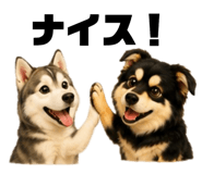 844432123