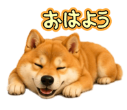 844432125