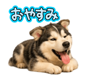 844432126