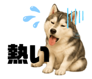844432143
