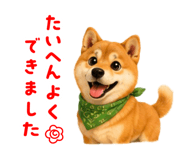 844432146