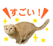 844432167