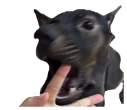 844432458