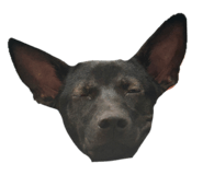 844432466