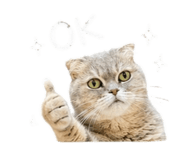 844432485