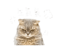 844432487