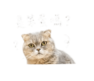 844432489
