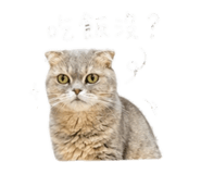 844432496