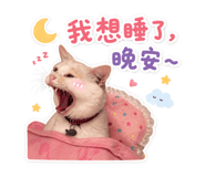 844432664