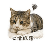 844432754