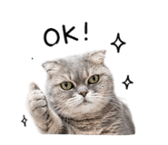 844433035