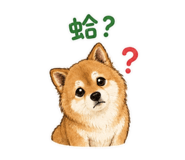 844433054