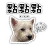 844433587