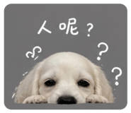 844433887