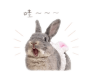 844434315