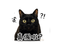 844434399