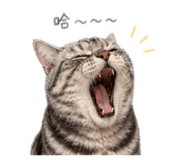 844434555