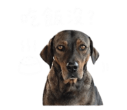 844434795