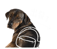 844434799
